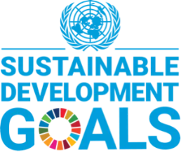 Add UNDP logo